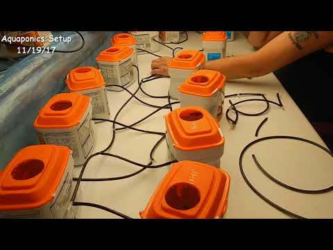 Hydroponics Setup 11/19/17 (Part 1)