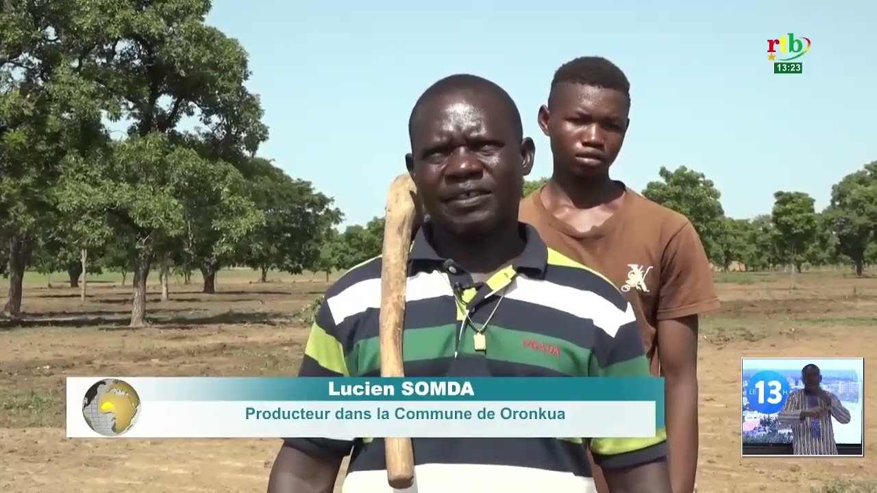 Campagne agricole : Dans la province du Ioba, l’espoir renait après le retour de la pluie.