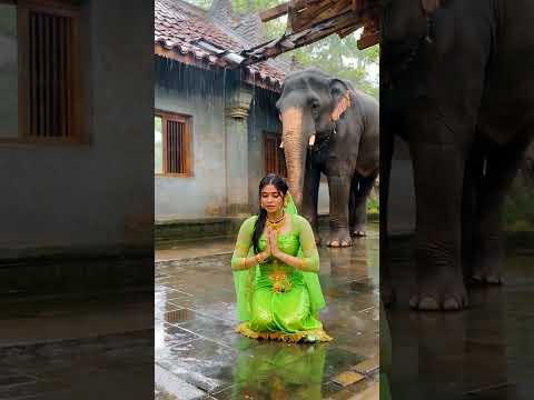 Under The Rain She Pray For Her Love