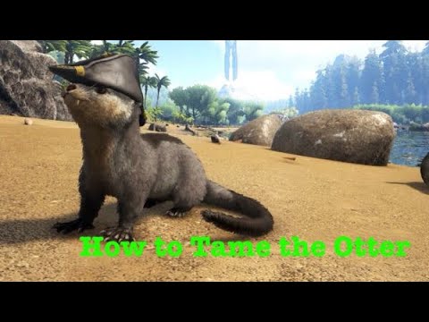 Ark Survival Evolved: Otter Taming Guide (Xbox one and PS4)