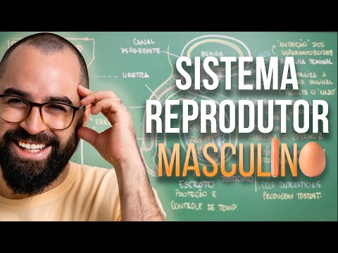 Sistema Reprodutor Masculino - Aula 33 - Módulo VII: Fisiologia Humana | Prof. Gui