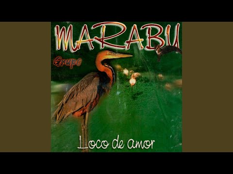 Regalarte Mis Noches