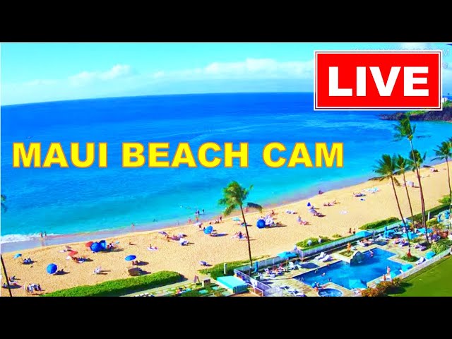 Live webcam view of Kaanapali Beach Night View