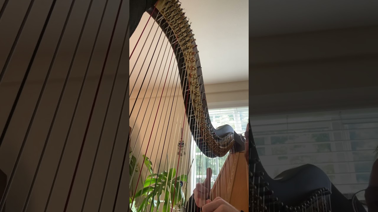 Promotional video thumbnail 3 for Zane Mallett, Harpist