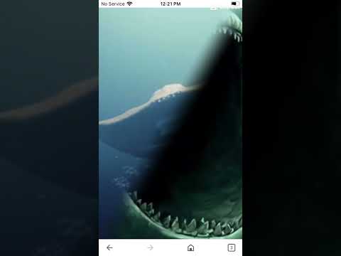 Bloop vs El Gran Maja