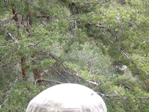 Michelini Peugeot 207 S2000 Cavallino 33 Rally 1000 Miglia Fipoki