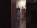 Bottle Flip Master