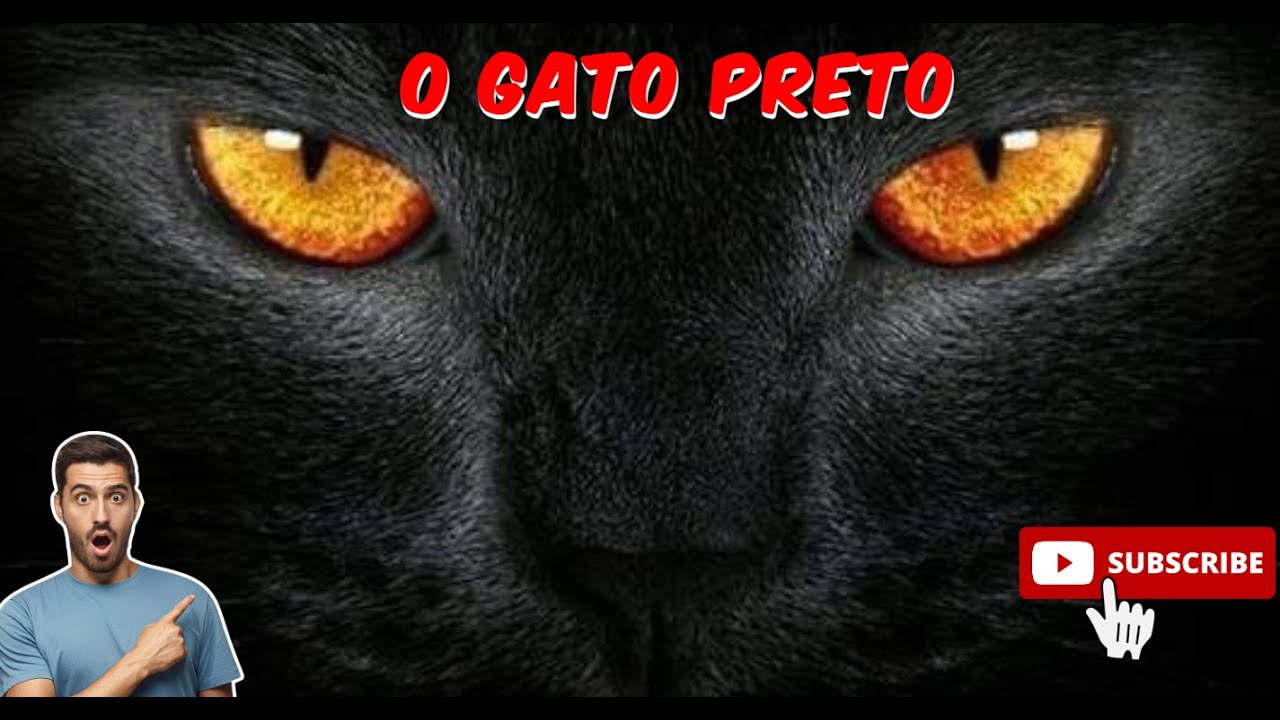 Desvendando os Mistérios do Gato Preto: Superstições e Verdades