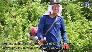 ปรับภูมิทัศน์ถนนสายบ้านสะทอน-ทรายมูล ต.ขวาว อ.เสลภูมิ