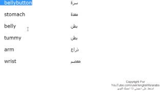 تعلم كلمات اللغة الانجليزية الدرس 38 اعضاء جسم الانسان بالانجليزي الجزء 3