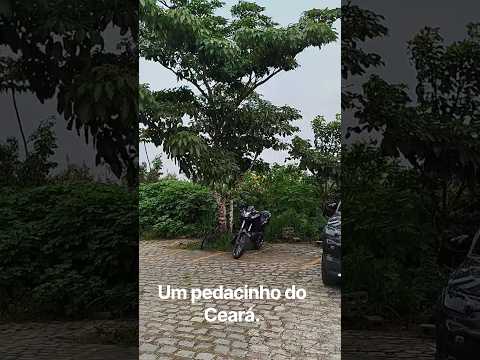 Museu Epcar e Réplica da Casa  Santos Dumont