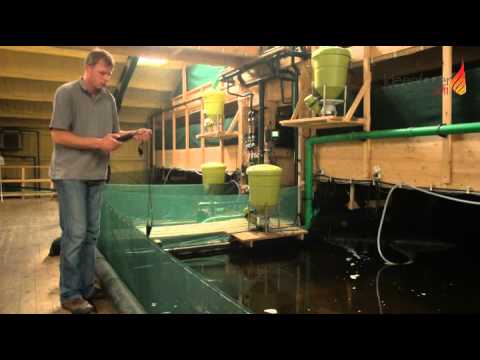 ideenfeuer2011 Garnelenhof Schaefer