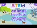 Animal Habitats | Rivers | KS1 Science Resources