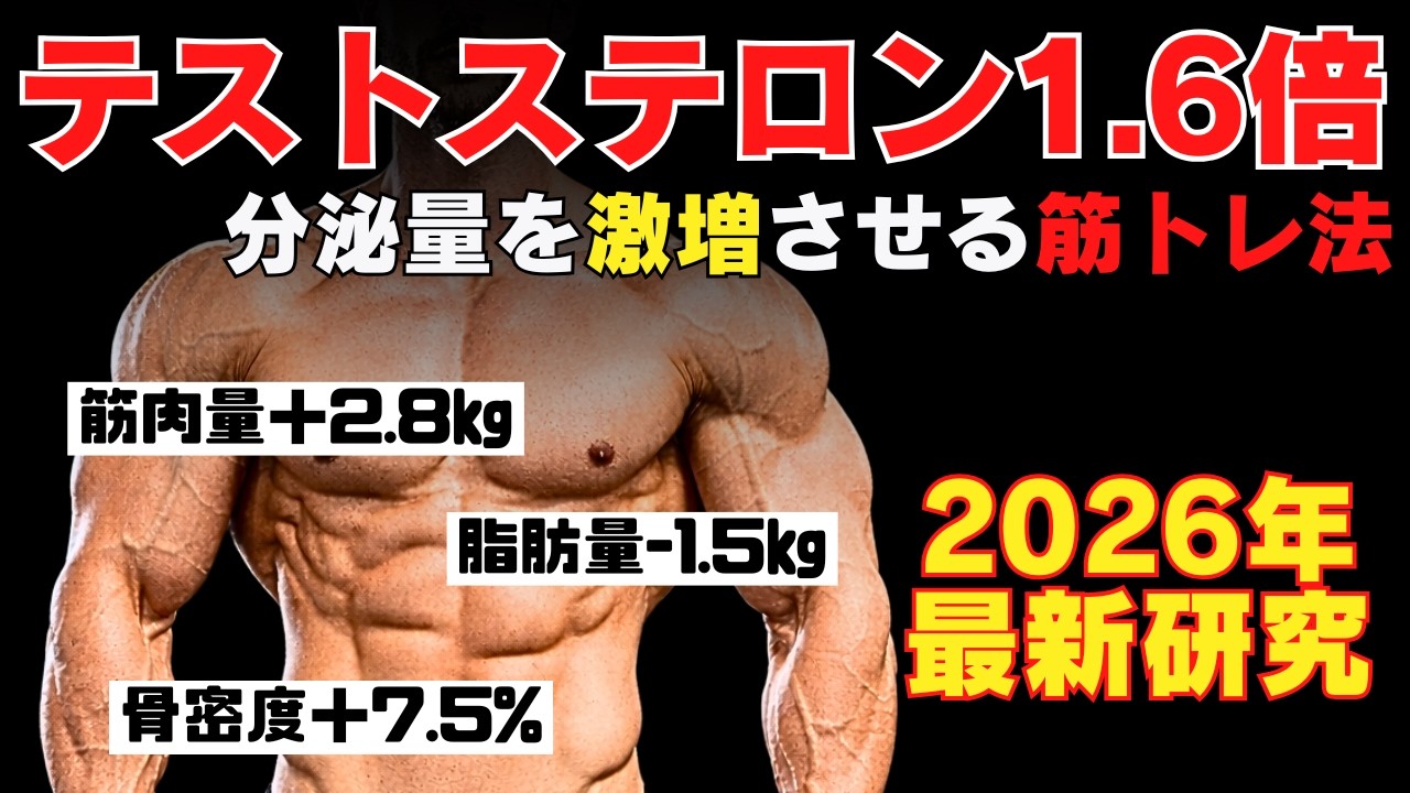 【2026年最新研究】テストステロンを1.6倍にする筋トレ法　~筋肉量＋2.8㎏・脂肪量-1.5㎏・骨密度＋7.5％~