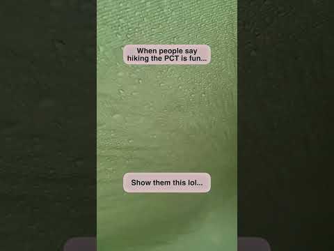 When People Say The PCT is Fun...