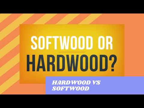 HARDWOOD VS SOFTWOOD : WHICH IS BETTER?