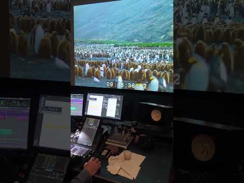 VOIX OFF en Mandarin CHINOIS et Traductrice - PENGUIN ISLAND (L'île aux Manchots)