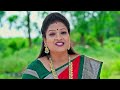 ఈ కుటుంబం అంతా ఏం కావాలి రా ? | Mithai Kottu Chittemma | Full Ep 749 | Zee Telugu - Video