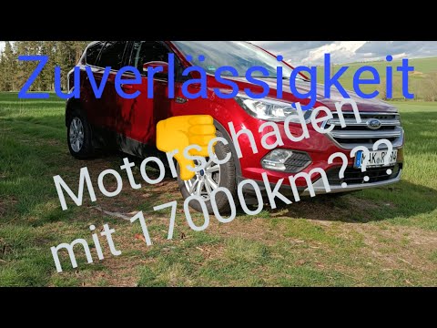 Ford Kuga 1.5 EcoBoost. Review after 40,000 km. Poor daily driver or a lemon?