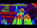 Nunca escuches DON DON al REVÉS | Daddy yankee ft. Anuel Nunca escuches DON DON al REVÉS | Daddy yankee ft. Anuel