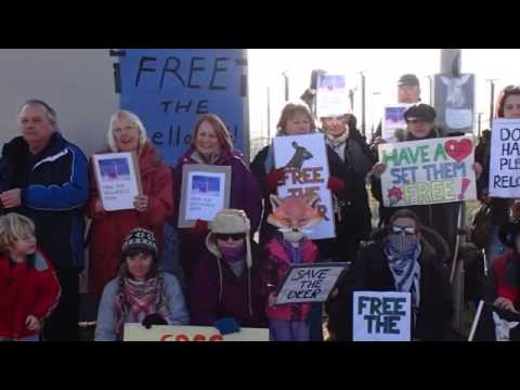 Free the Deer Demo at Sellafield
