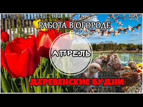 Работа в огороде. Апрель. Огород 2019. Жизнь в деревне.