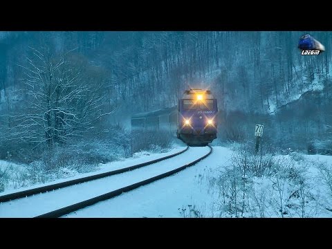 Horns Show By Piranda~GM 65-0989-7 in Zapada/Snow in Apuseni Mountains - 29 December 2016