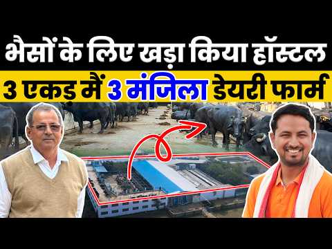 Constructed a whole building for buffaloes 😱🐮🏬 Unbelievable Buffalo Dairy Farm | Indian Farmer