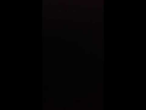 Nalle,Thessink og Møller