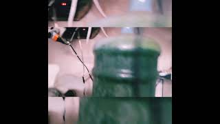 aquario marinho uma  solução para  abastecimento de água doce -viajar com tranquilidade -custo baixo