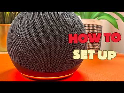 How To Set Up Echo Dot