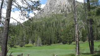 Steve Wright- Strange Out Here (Screaming Trees Cover)