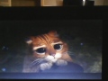 Sneak Peeks From Shrek 3 D 2004 DVD