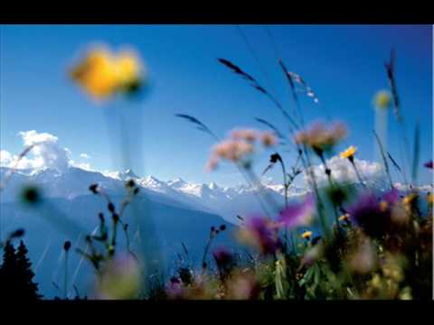 IMPLORA   de  Diego Morena