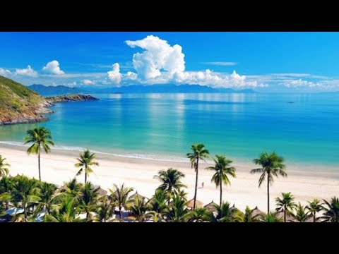 The Most Beautiful Beaches In The World(2019)