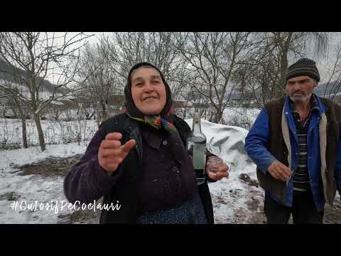 Tăiatul porcului în Țara Lăpușului: acasă la lelea VERONICA și badea GRIGORE BUDA din SUCIU DE JOS 🆕