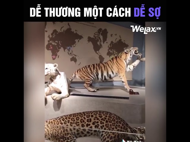 Ах, этот удивленный взгляд!