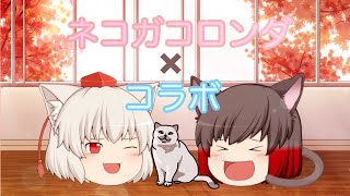 ネコガコロンダ PV  コラボ