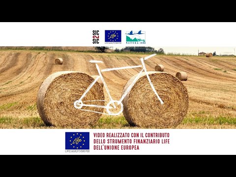 Life sic2sic - Un anno con Sic2Sic