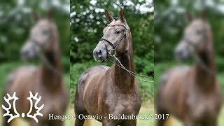 Video von Infinity 50