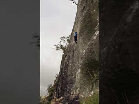 Free-solo climber falls!