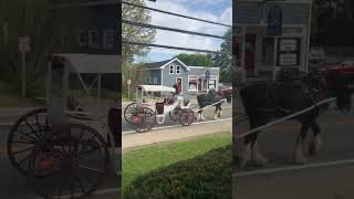 Horse and Carriage #horseandcarriage #horse #oldfashioned #carriage #western #oldfashioned #vintage