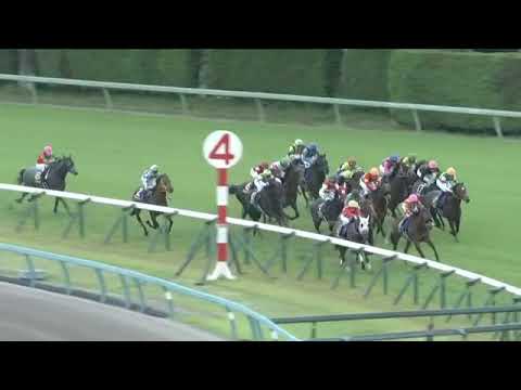 2023.04.16 Satsuki Sho (Japanese 2000 Guineas) - Sol Oriens