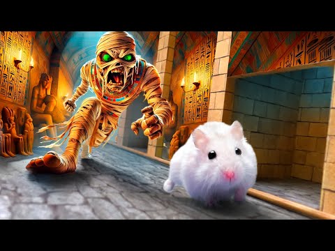 Hamster Maze Adventure: Lost Treasure of the Egypt Pyramid