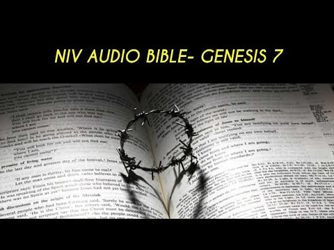 GENESIS 7 NIV AUDIO BIBLE (with text)