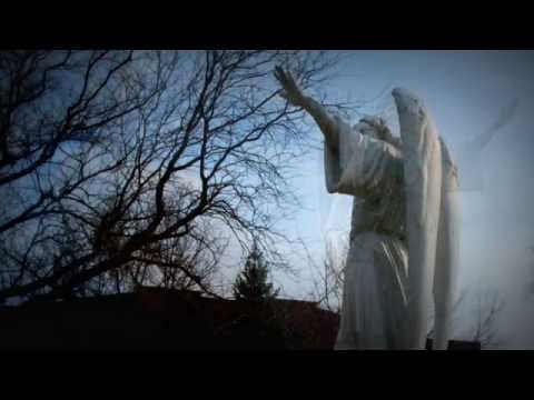 VIEJO NANDEZ - El Bohemio