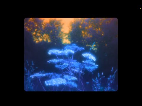 Ishmael Ensemble - Golden (Official Video)