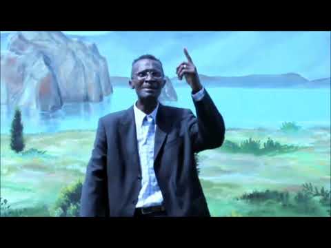 Vicente Alvarenga - Ser Profeta