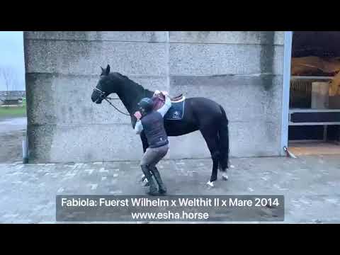 Fabiola: Fürst Wilhelm x Welthit II
