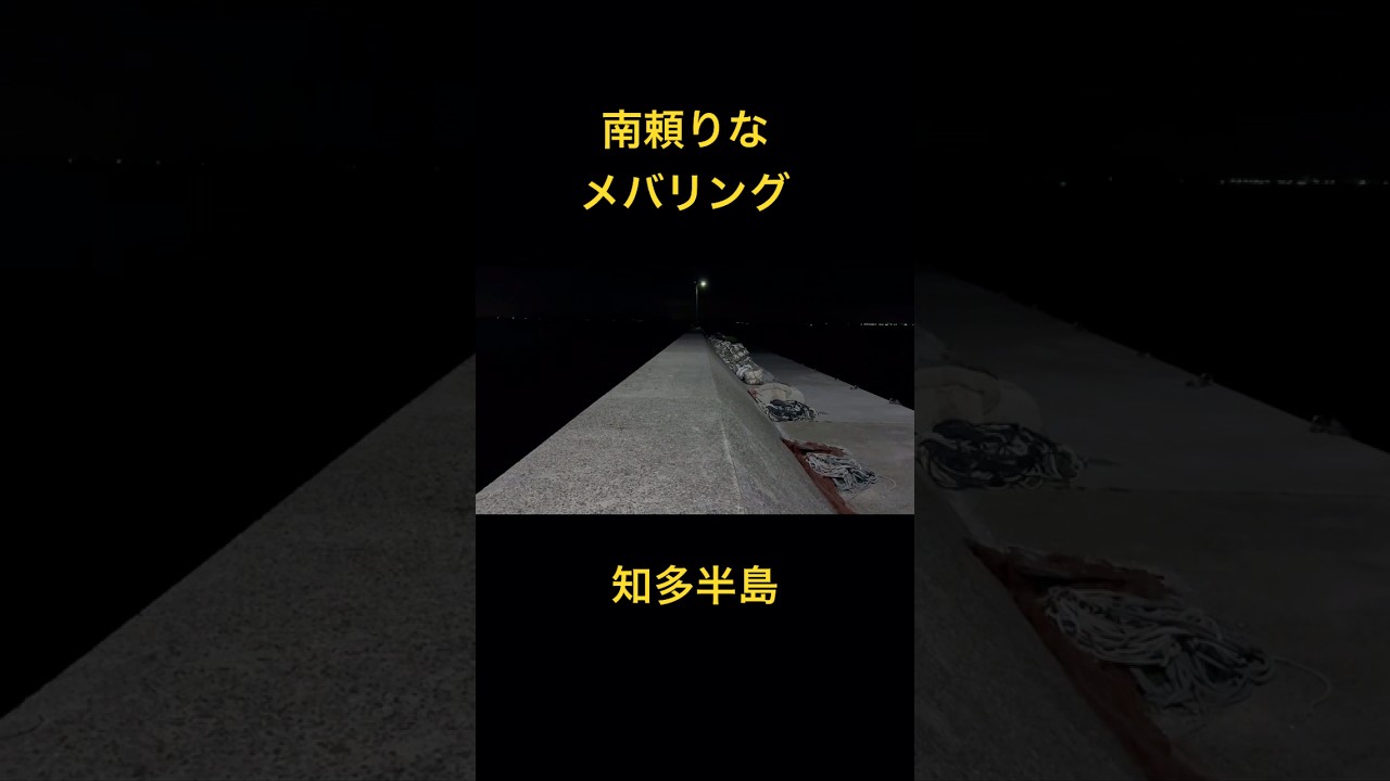 南頼りな春告魚を釣りにライトロック 知多半島 メバリング#春告魚#知多半島#メバリング